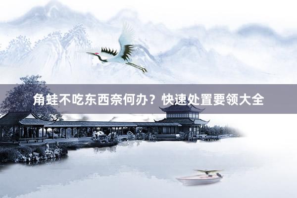 角蛙不吃东西奈何办？快速处置要领大全